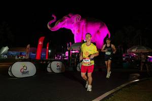 BIB: 
                            <button type="button" onclick="openModal(26535377)" class="btn btn-primary btn-sm float-right btn-popup" data-toggle="modal" data-target=".modal-high-quality">
                        <i class="fas fa-shopping-cart"></i> Add to Cart
                    </button>
                                            <button type="button" onclick="isThisMe(26535377, true)" class="btn btn-success btn-sm float-right btn-popup btn-isme hidden" data-toggle="tooltip" data-placement="bottom" title="นี่คือรูปของคุณใช่ไหม คลิกที่นี่เพื่อเอาเข้าอัลบั้ม">
                        <i class="fas fa-plus"></i> Add to album
                    </button>
                    <button type="button" onclick="isThisMe(26535377, false)" class="btn btn-warning btn-sm float-right btn-popup btn-isnotme hidden">
                        <i class="fas fa-ban"></i> Remove from album
                    </button>